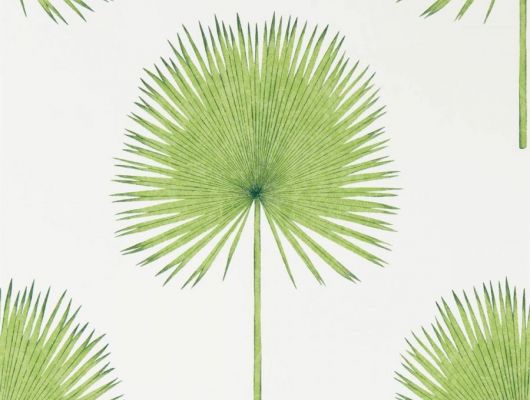 Сочный рисунок пальмовых листьев на флизелиновых обоях которые прекрасно подойдут для ремонта кухни арт. 216636  коллекция The Glasshouse от Sanderson можно выбрать на сайте odesign.ru, The Glasshouse, Обои для гостиной, Обои для кухни