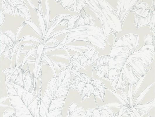 Заказать английские обои в столовую арт. 112026 дизайн Parlour Palm из коллекции Zanzibar от Scion, Великобритания с принтом в виде пальмовых листьев белого цвета на бежевом фоне в интернет-магазине Odesign.ru, Zanzibar, Обои для гостиной, Обои для спальни