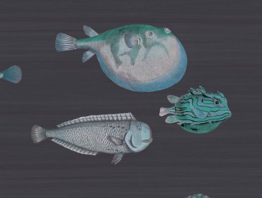 Английские обои из флизелина с рисунком из синих рыб на темном фоне заказать с доставкой на дом, Fornasetti Senza Tempo, Английские обои, Детские обои, Дизайнерские обои, Флизелиновые обои