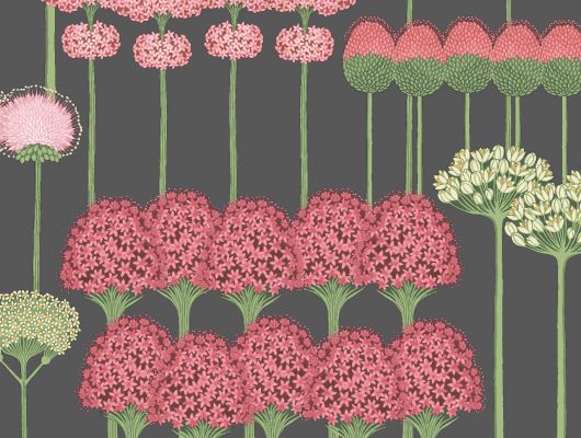 Обои Cole & Son - "Allium" арт. 115/12037 . Цветочный паттерн, создает геометричный рисунок с изображением луковичных растений в коралловом и лиственно-зелёной на угольном фоне. Английские обои, Обои Cole & Son, Каталог обоев, Botanical Botanica, Обои для гостиной, Обои для спальни
