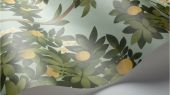 Флизелиновые обои пр-во Великобритания коллекция Seville от Cole & Son, с рисунком под названием Orange Blossom фруктовые деревья на светло-голубом фоне. Обои для гостиной, обои для кухни, обои для спальни. Онлайн оплата, большой ассортимент, бесплатная доставка