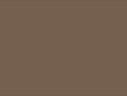 Фоновые обои коричневого цвета  коллекции Ambient "Plain", Ambient