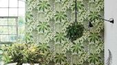 Обои Cole & Son - "Fern" арт. 115/7021. Пышный сад в стиле Британского ботанического мотива с изображением многолетних суккулентов и папоротников лиственно-зелёного и
оливкового цвета на белом фоне. Обои в Москве, адреса магазинов, каталог обоев