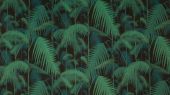 Cole-and-Son_The_Contemporary_Collection-Fabrics_Palm_Jungle_F111-2004V_Crop