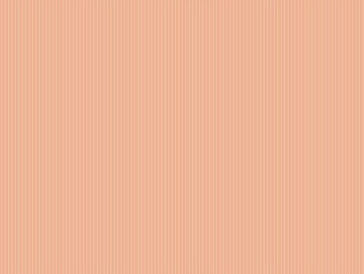 Персиково  розовые обои в мелкую рифленую полоску для детской в магазине из наличия., Bon Voyage, Обои для гостиной