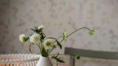 Флизелиновые обои из Швеции коллекция Vårt Arkiv от Borastapeter под названием GRÅÄNG. На серовато-белом фоне обоев нежные цветы в скандинавском стиле. Обои для спальни, обои для кухни, для прихожей. Большой ассортимент, купить обои в салоне Одизайн