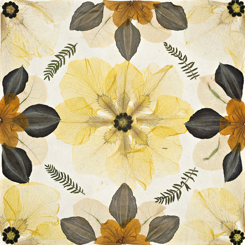Carpet Herbarium by Gunilla Ulberg and studia Kasthall