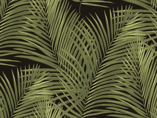 Широкие обои с пальмами из каталога Амазония можно купить в ОДизайн, Amazonia, Обои для гостиной