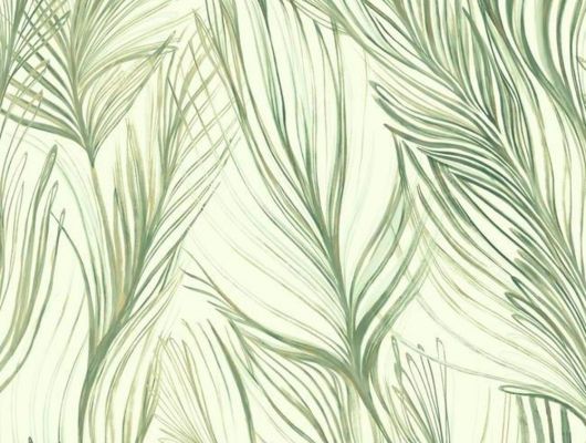 Обои York Designer Series — Candice Olson Botanical Dreams PEACEFUL PLUME, Candice Olson Botanical Dreams