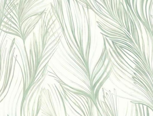 Обои York Designer Series — Candice Olson Botanical Dreams PEACEFUL PLUME, Candice Olson Botanical Dreams