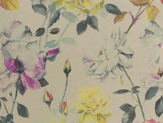 Посмотреть английские обои Couture Rose арт.PDG711/02 из коллекции Jardin Des Plantes от Designers guild с розами на золотом фоне в салоне о-дизайн., Jardin Des Plantes, Обои для гостиной, Обои для кухни, Обои для спальни