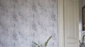 Подобрать Английские Обои для спальни дизайн Michaux арт. PDG716/05 из коллекции Jardin Des Plantes от Designers Guild ,пр-во Великобритания с имитацией штукатурки в сером цвете,на сайте odesign.ru