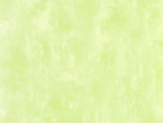 Купить английские флизелиновые обои Designers guild - Parchment, арт.PDG719/28 светло-зеленого цвета c рисунком под бетон. Обои для кабинета, прихожей.Большой ассортимент. Бесплатная доставка., Parchment, Обои для кухни