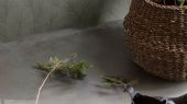 Выбрать флизелиновые обои арт. 4704 от Boråstapeter для гостиной. Окрашенные в приглушенные серые тона, наши обои Pine Tree воспевают истинную красоту зимнего скандинавского леса. Заказать обои на сайте