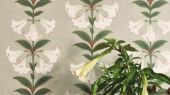Флизелиновые обои пр-во Великобритания коллекция Seville от Cole & Son, с рисунком под названием Angel's Trumpet растительный рисунок в стиле ботанической иллюстрации  в светлых тонах. Обои для гостиной, обои для спальни, обои для кухни. Большой ассортимент, бесплатная доставка, купить обои